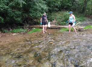 Creek Clean-up
